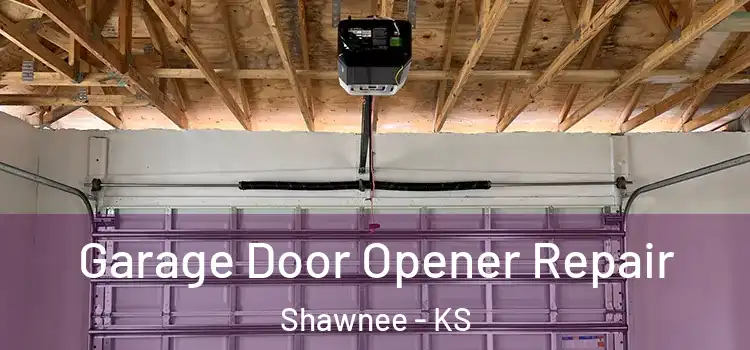  Garage Door Opener Repair Shawnee - KS